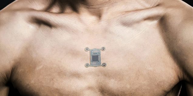 North Sense. IMAGE: Cyborg Nest